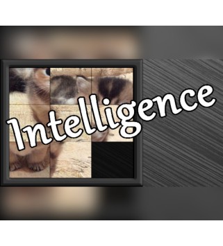 Intelligence Steam Key GLOBAL